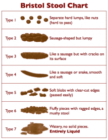 Bowel Movement - Indicator of Digestive Health? Dr. Eidem