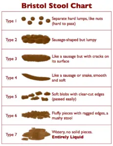 https://mattheweidem.com/wp-content/uploads/2015/05/Bristol-Stool-Chart-231x300.png.webp