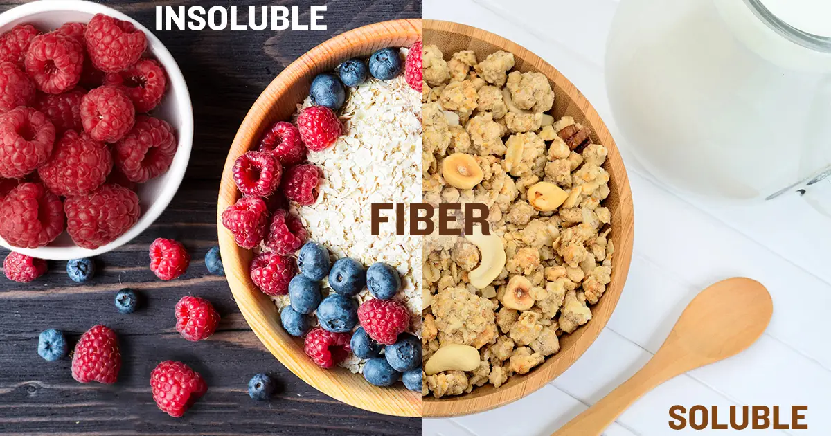 fiber types - soluble and insoluble with food example images