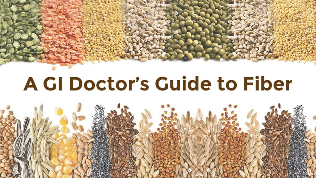 the-gi-doctor-s-ultimate-guide-to-fiber-matthew-eidem-md